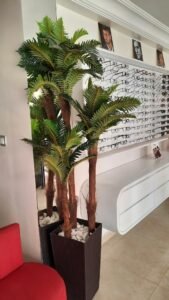 Optique El Hosna
