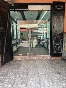 Aliaoptique
