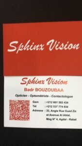 Sphinx Vision