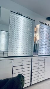 Zoptique
