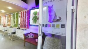 IZRY Optique Salé