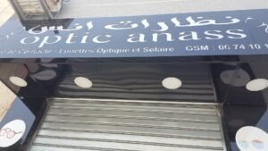 Optic anass